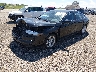 1HGCY1F23RA****** Used and Repairable 2024 Honda Accord in Lincoln