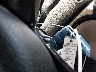 KNDMB5C19G6****** Salvage 2016 Kia Sedona in Texas State