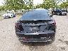 5YJ3E1EB3SF****** Salvamento 2025 Tesla Model 3