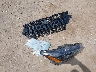 1N4BL4BV1RN****** Wrecked 2024 Nissan Altima in Tennessee State