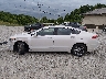 3FA6P0HD1HR****** Salvage 2017 Ford Fusion