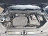 3VV1B7AXXMM****** Repairable 2021 Volkswagen Tiguan in Buffalo