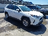 2T3W1RFV7KW****** Salvamento y Destrozados 2019 Toyota RAV4 en Los Angeles South