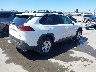 2T3W1RFV7KW****** Salvamento y Destrozados 2019 Toyota RAV4 en Estado de California