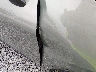 5XYK6CDF1SG****** Salvage and Wrecked 2025 Kia Sportage in Shady Spring