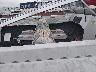 00000EBK206****** Salvage and Repairable 1988 Ebko Marine Other in Illinois State