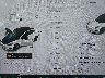 5YJ3E1EB7KF****** Salvage 2019 Tesla Model 3 in Richmond