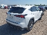 JTJYARBZ5K2****** Salvage and Wrecked 2019 Lexus NX in Texas State
