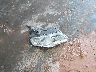 WVWAK93C88E****** Wrecked 2008 Volkswagen Passat in South Dakota State