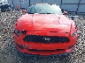 1FATP8UH7G5****** Salvamento y Reparables 2016 Ford Mustang en Estado de Arkansas