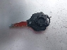 H0DTAEG50SX****** Salvage 2025 Taizhou Mc in Florida State