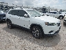 1C4PJMDN8KD****** Salvamento y Destrozados 2019 Jeep Cherokee en Fort Worth North