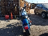 1HD4CJM196K****** Salvamento y Reparables 2006 Harley-Davidson Sportster 883 Custom en Estado de Colorado