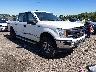 1FTEW1E55KF****** Salvamento y Destrozados 2019 Ford F-150 en Lexington