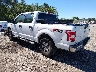 1FTEW1E55KF****** Salvamento y Reparables 2019 Ford F-150 en Lexington