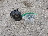 5N1AL0MM6FC****** Wrecked 2015 Infiniti QX60 in Indiana State