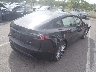 5YJ3E1EB5SF****** Salvamento y Destrozados 2025 Tesla Model 3 en Estado de Nueva Jersey