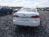 1VWSA7A34MC****** Wrecked 2021 Volkswagen Passat