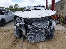 SALK1BE73PA****** Salvage 2023 Land Rover Range Rover in Florida State