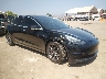 5YJ3E1EB6KF****** Salvamento y Destrozados 2019 Tesla Model 3 en North Hollywood
