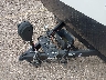 5ZT2SSPB9NE****** Reparables 2022 Forest River Shasta Oasis en Rec Rides Online Exclusive