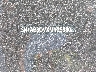 3N1AB8DVXMY****** Used 2021 Nissan Sentra in Long Island