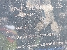5YJ3E1EA6TF****** Wrecked 2026 Tesla Model 3