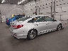 5NPE34AF6FH****** Salvage and Wrecked 2015 Hyundai Sonata in Minnesota State