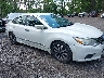 1N4AL3AP6HC****** Salvamento y Destrozados 2017 Nissan Altima en Suffolk
