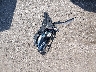1FM5K7D88KG****** Destrozados 2019 Ford Explorer en Estado de Kansas