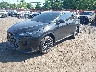 2T2GGCEZ1TC****** Usados y Reparables 2026 Lexus NX 350 en Sayreville