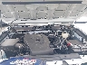 3TMDZ5BN5PM****** Reparables 2023 Toyota Tacoma en Elkton