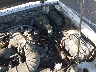 1FTCR14U3TP****** Used 1996 Ford Ranger in Oregon State