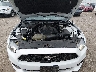 1FATP8UH5H5****** Reparables 2017 Ford Mustang en Springfield
