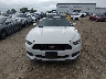 1FATP8UH5H5****** Destrozados 2017 Ford Mustang en Estado de Missouri