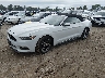 1FATP8UH5H5****** Usados y Reparables 2017 Ford Mustang en Springfield