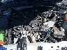 2G1WA5E34F1****** Repairable 2015 Chevrolet Impala in Greenville