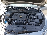 3KPF24AD9RE****** Repairable 2024 Kia Forte in Shady Spring