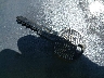 JALC4W161F7****** Repairable 2015 Isuzu NPR in Fresno