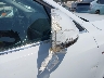 WA1D7AFP6GA****** Wrecked 2016 Audi Q5