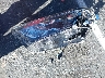 4T3D6RFV6MU****** Wrecked 2021 Toyota RAV4 Hybrid in California State