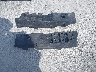 1N4AA6DV1LC****** Wrecked 2020 Nissan Maxima in Illinois State