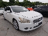 1N4AA5AP5DC****** Salvamento y Destrozados 2013 Nissan Maxima en Dallas-Fort Worth