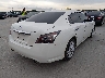 1N4AA5AP5DC****** Salvamento y Destrozados 2013 Nissan Maxima en Estado de Texas