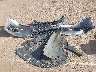 JTHBK1GG1E2****** Salvage 2014 Lexus ES in Hawaii State