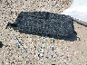 5YFS4MCE7RP****** Reparables 2024 Toyota Corolla