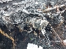 5N1BV28UX8N****** Salvamento 2008 Nissan Quest en Cincinnati