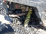 3NSRAE92XMG****** Wrecked 2021 Polaris RZR in Asheville