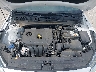 3KPF24AD4LE****** Repairable 2020 Kia Forte in Dallas