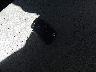 3VV2B7AX1MM****** Salvamento 2021 Volkswagen Tiguan en Estado de Colorado